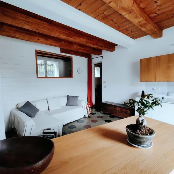 Casasassi Apartment Turin Ngoại thất bức ảnh