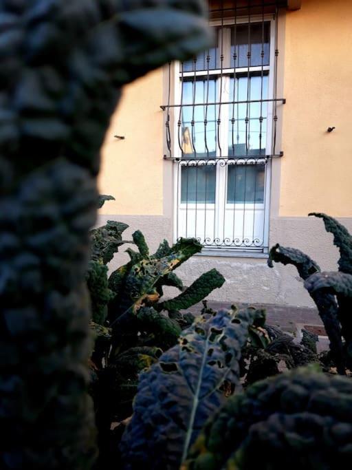 Casasassi Apartment Turin Ngoại thất bức ảnh