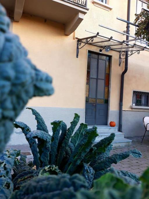 Casasassi Apartment Turin Ngoại thất bức ảnh